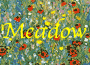 Button_Meadow